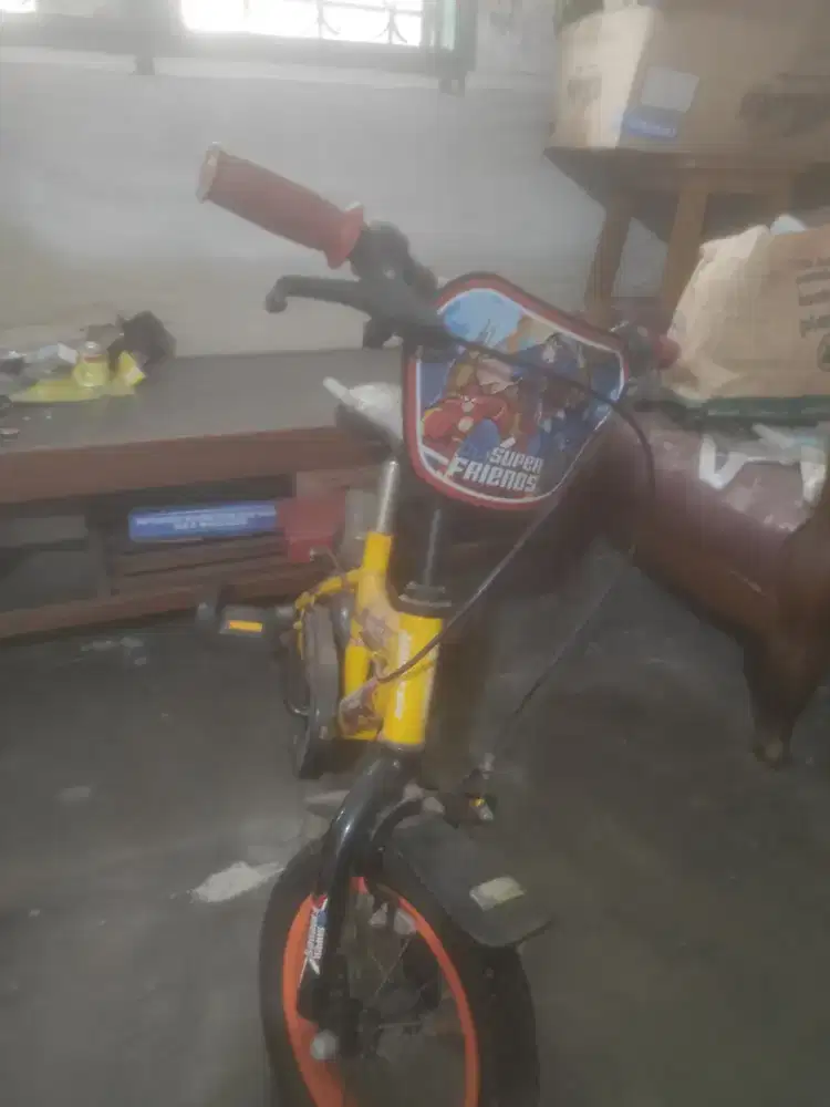 Sepeda anak umur 7-12thn