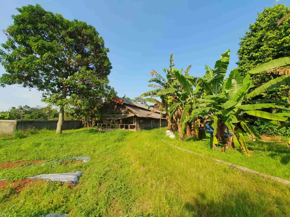 Di jual Tanah murah sudah di lengkapi Kandang Ayam di Putat Nutug