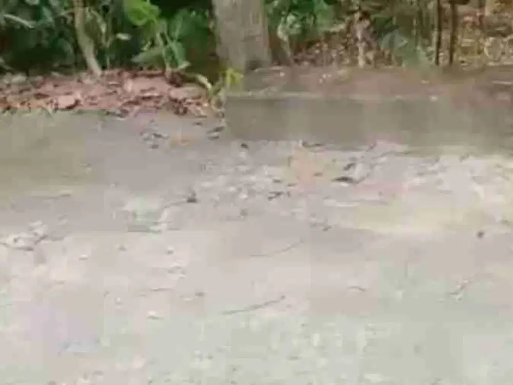 JUAL TANAH DI BANJARASRI KALIBAWANG KULONPROGO