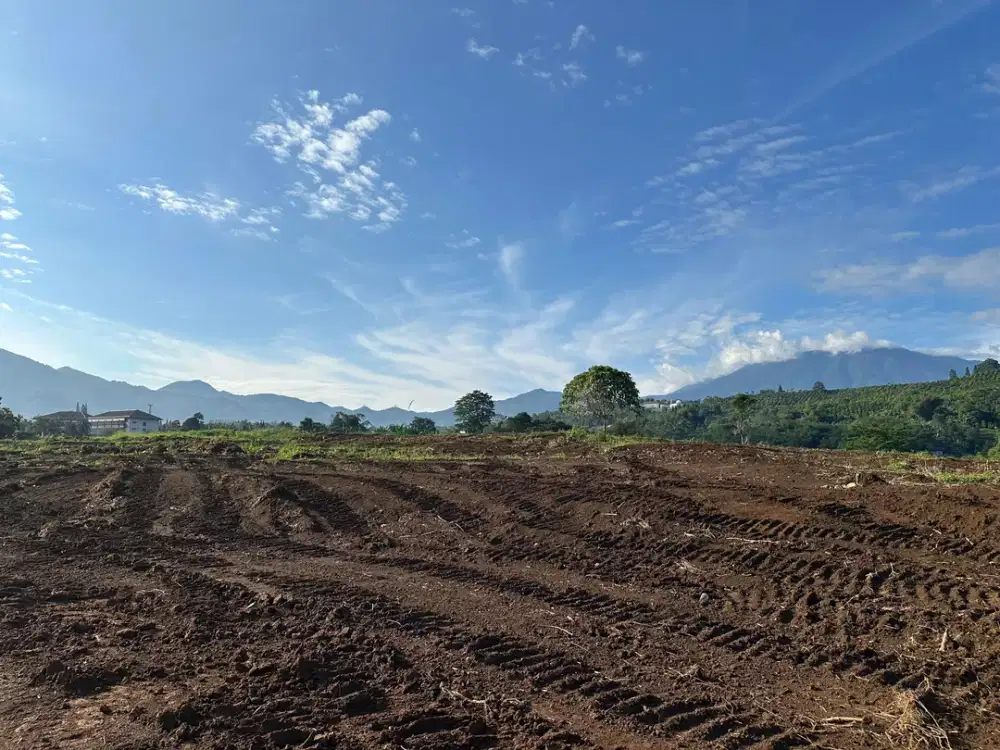 Tanah dijual 500 meter persegi di cisarua puncak