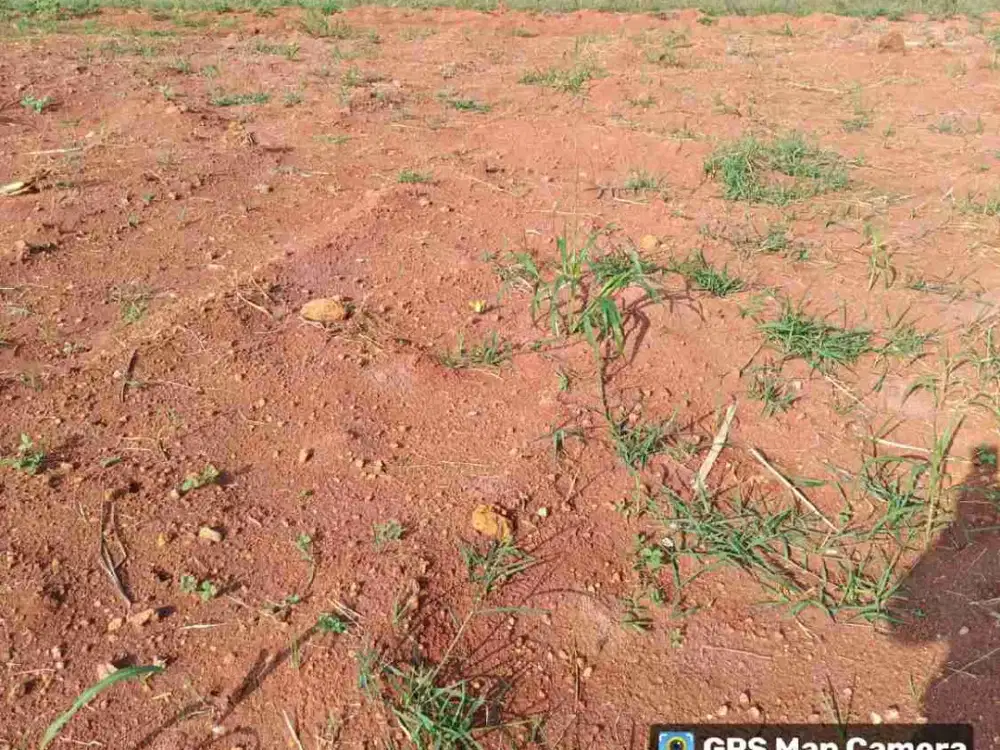 Tanah lokasi Strategis di Bogor