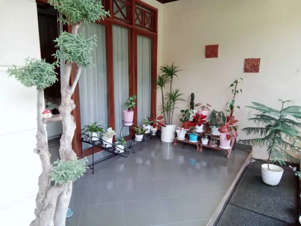 Rumah Rempoa ciputat timur dekat pondok indah Jakarta selatan