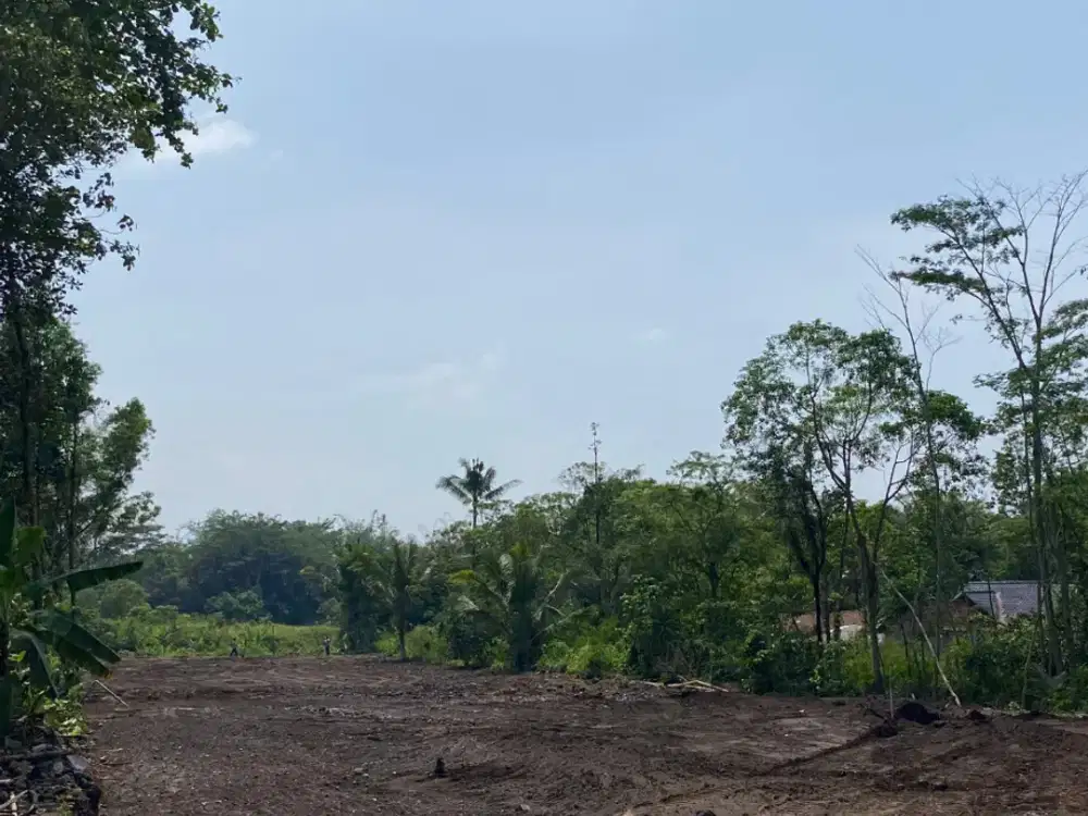 Tanah Jogja Dijual Prospek Villa dan Homestay