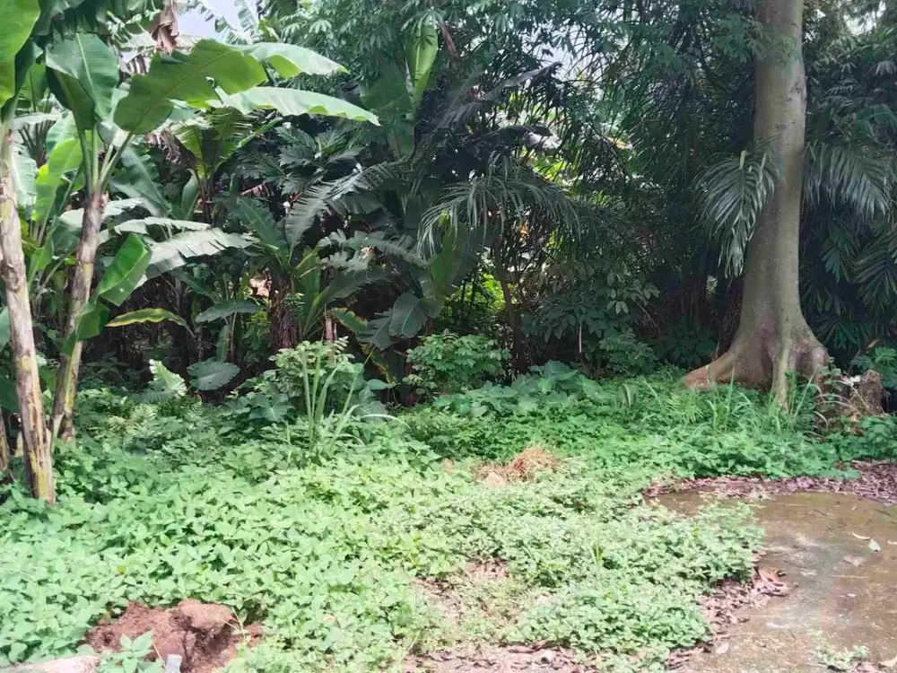 tanah darat SHM siapa bangun di pondok cabe Ilir