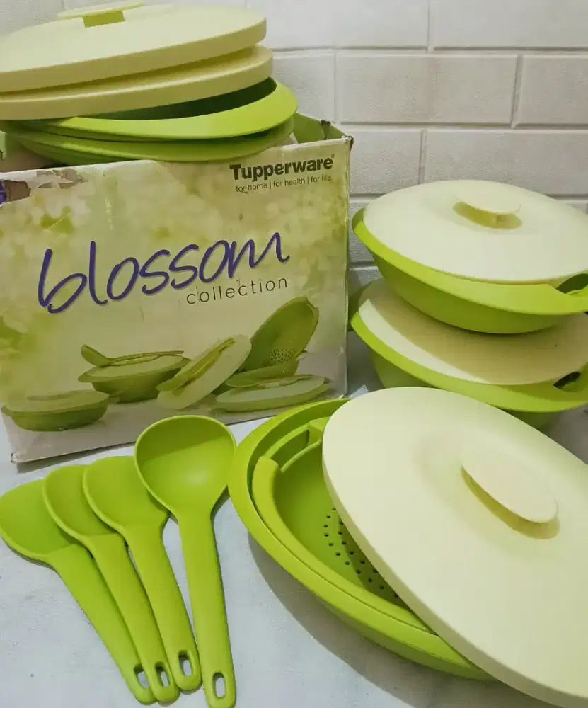 Tupperware Blossom Set Collection