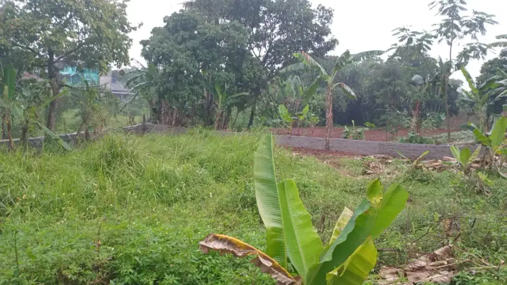 BU JUAL CEPAT TANAH DEKAT PASAR PARUNG