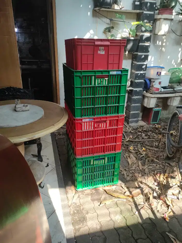 MURAH !! Box Green Leaf & Hanata