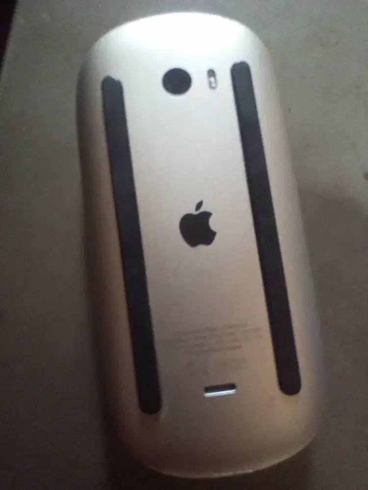 Magic mouse 2 apple