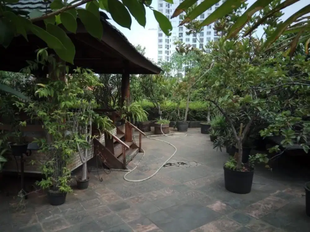 TURUN HARGA JUAL CEPAT.. RUMAH DI TEBET JAKSEL