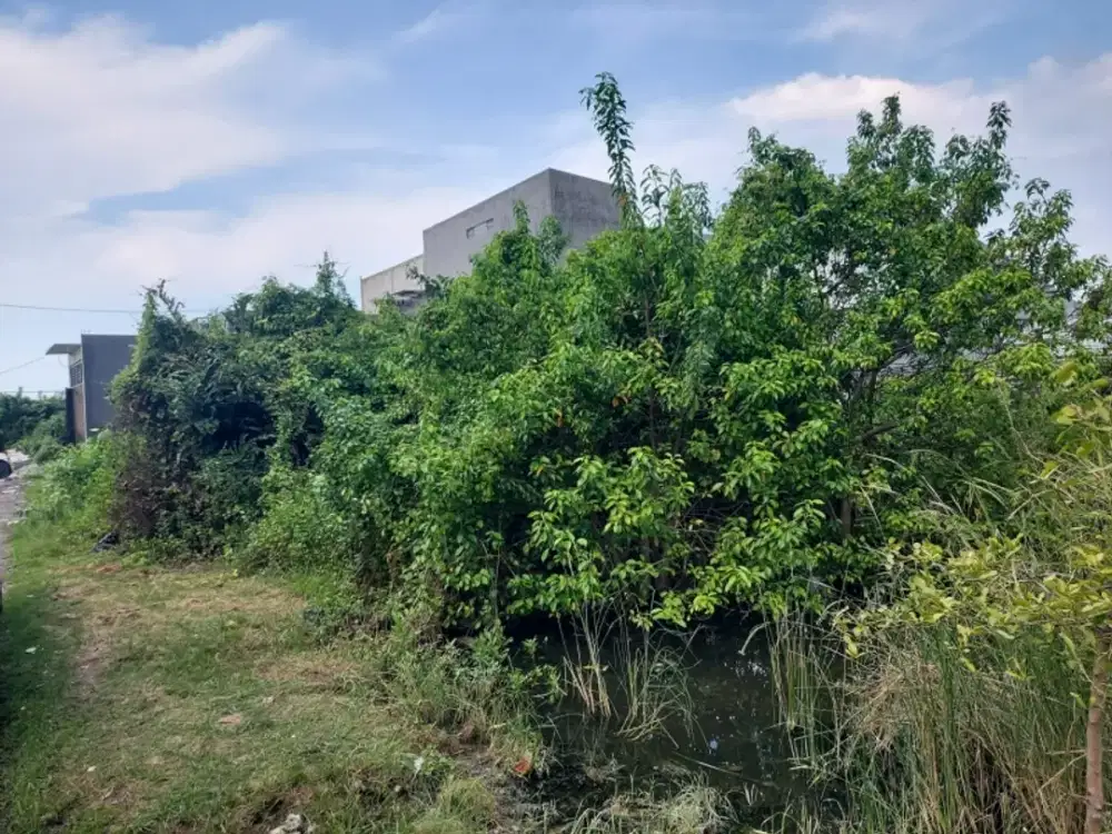 Dijual tanah SHM Medokan Surabaya