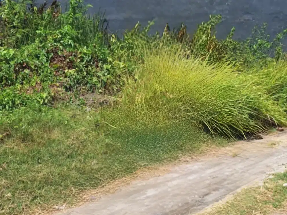 Termurah ! Dijual tanah kav Tambak Medokan Ayu Rungkut