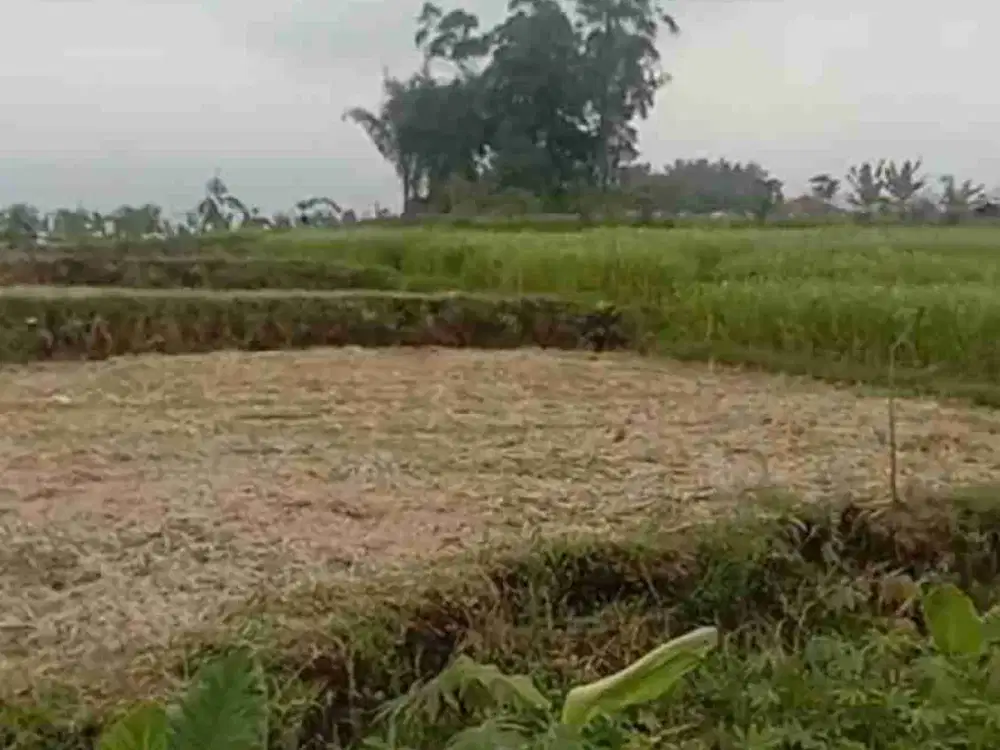 Dijual Tanah Di Ciwidey Pinggir Jalan Kabupaten