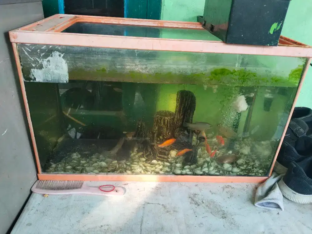 jual aquarium full set