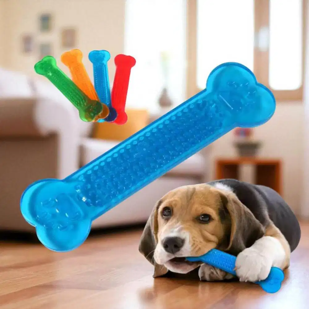Mainan Anjing Chew Toy Soft Rubber Bite Model Tulang 4 PCS - INU138