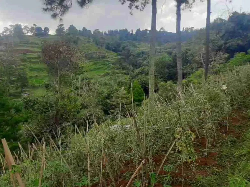 dijual tanah dago giri bandung