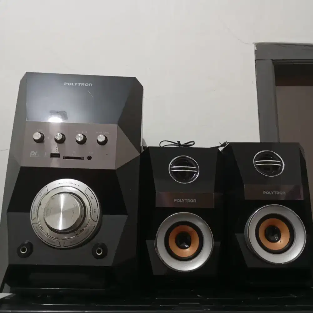 Speaker merk Polytron PMA 9502