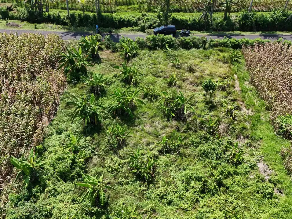 Di jual tanah dekat dengan pantai dengan view laut sawah dan sungai