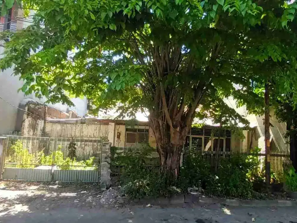 Rumah Hitung Tanah Gayungsari Barat Surabaya Selatan Wiyung Ketintang