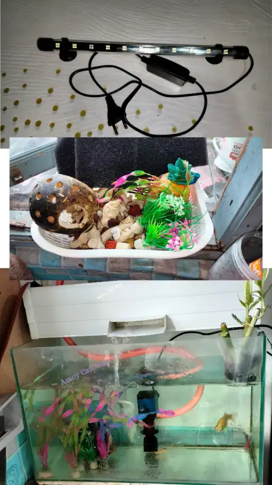 Akuarium 50x25 + talang + media filter,rumput hiasan  rumah Spongebob