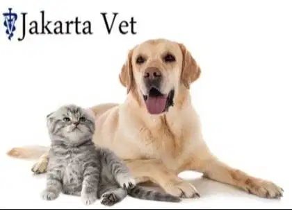 Pet Clinic Crew / Paramedis Klinik Hewan