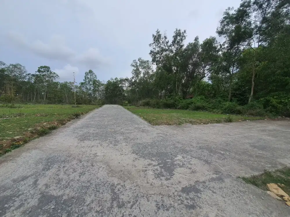 Kulon Progo – Kavling Strategis Dekat Bandara, Cocok untuk Hunian & Kos