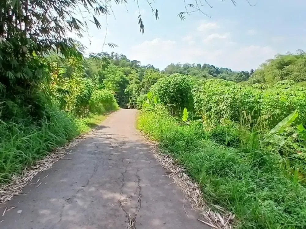 jual tanah di Ciseeng Bogor barat