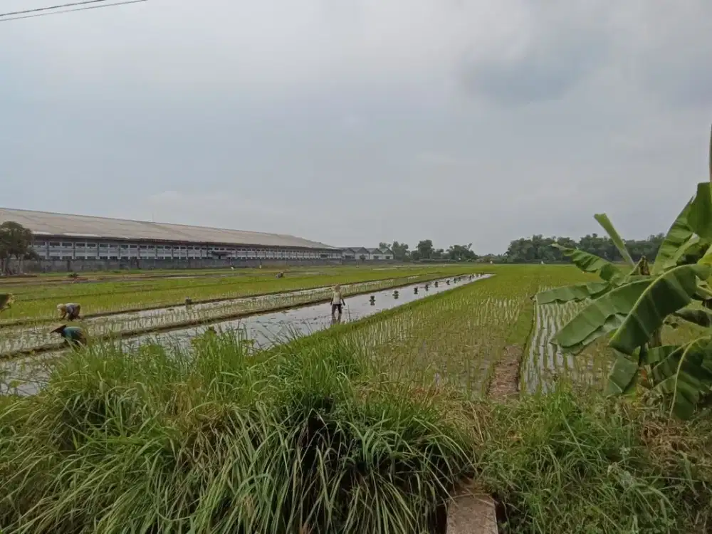 Kavling Tanah Industri Bulusari Carat Gempol Pasuruan Sangat Cocok untuk Pabrik