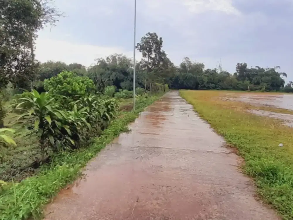 jual tanah di Jasinga Bogor barat