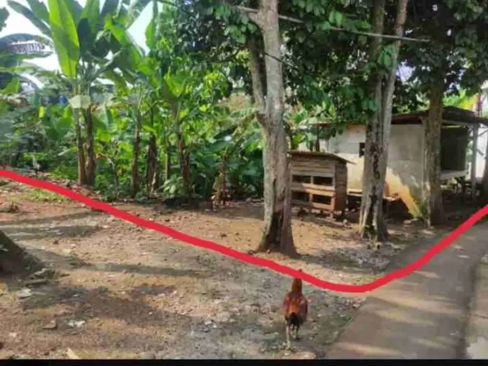 JUAL TANAH  CANTIK BUAT RM TINGGAL