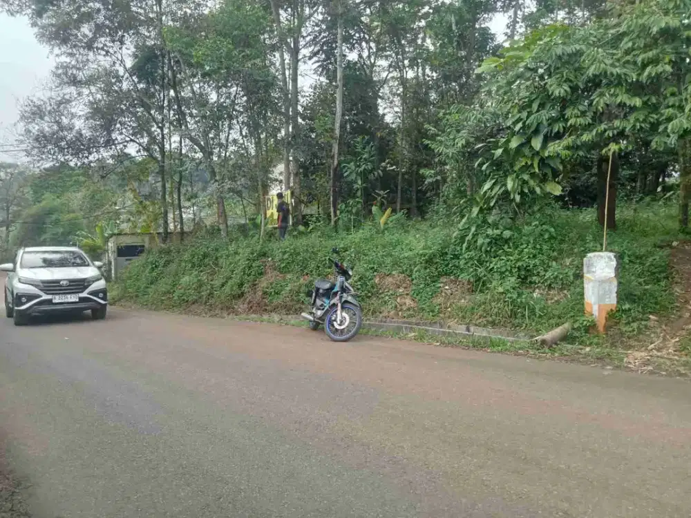 jual tanah murah LT 2045m, girik, nempel jln kabupaten