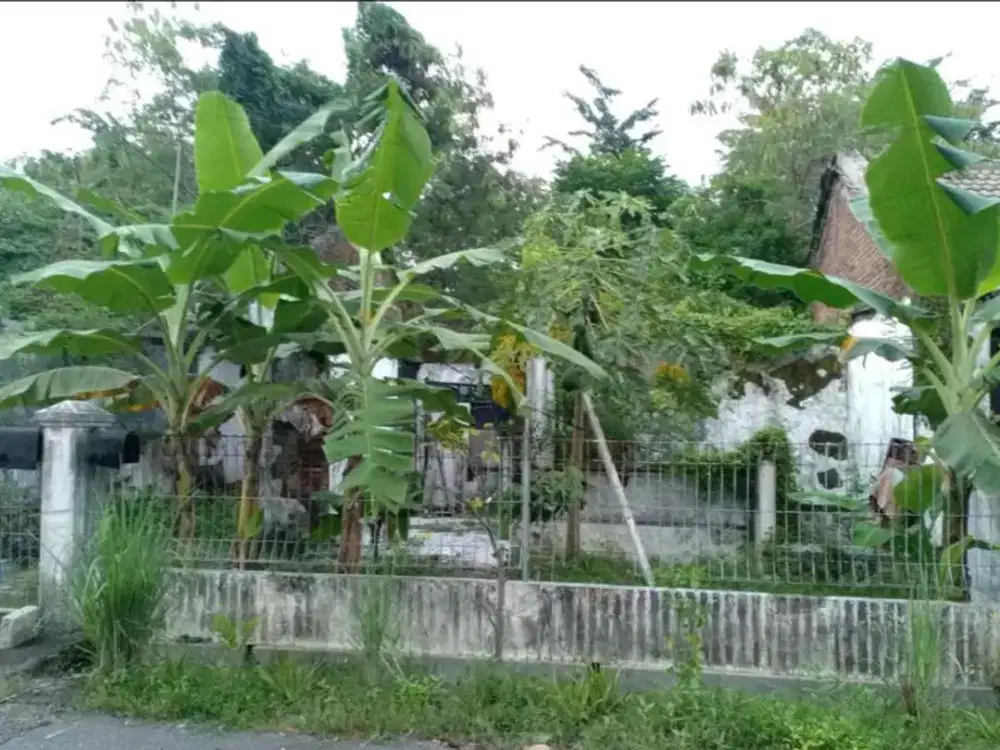 Di Jual Tanah murah Di Perumahan Taman Pinang Indah Sidoarjo Kota