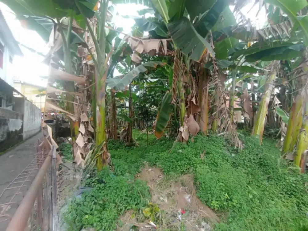 5 Menit Stasiun Bogor, Kaveling Panaragan Sudah SHM, Bisa Dicicil