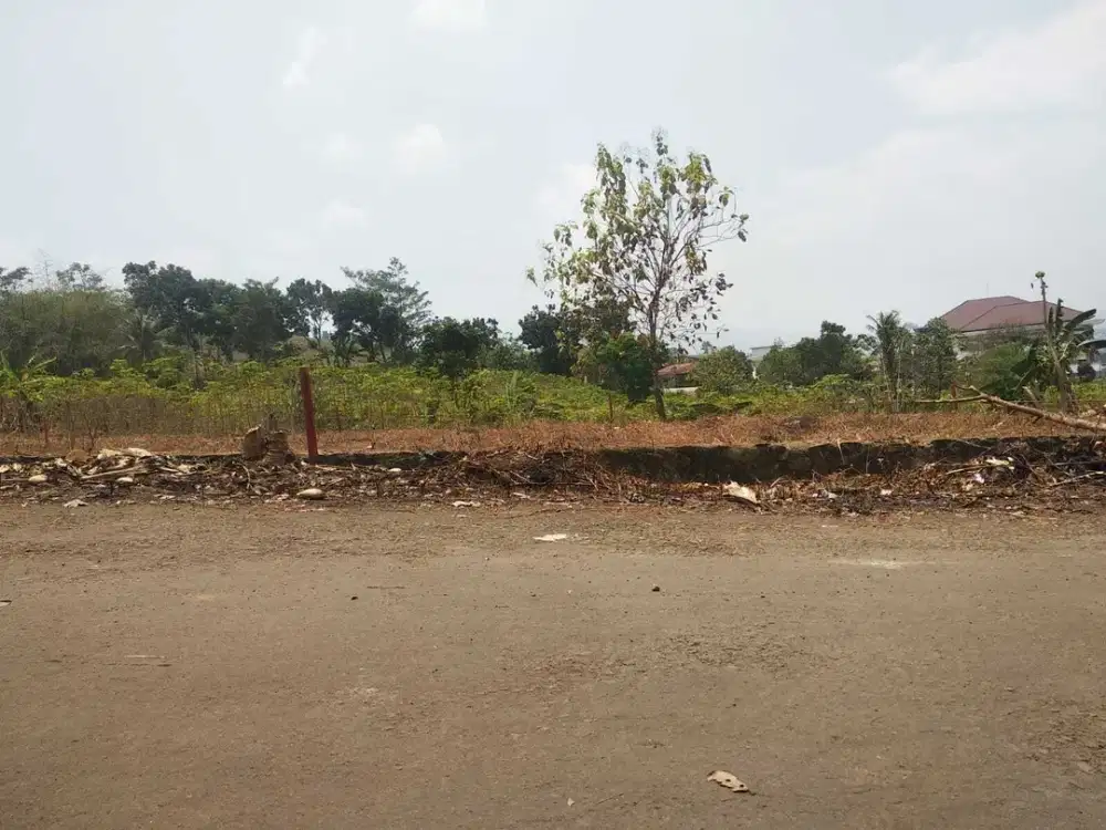 Kaveling Dekat Sirkuit Sentul Siap Bangun Free SHM Cicil Tanpa Bunga