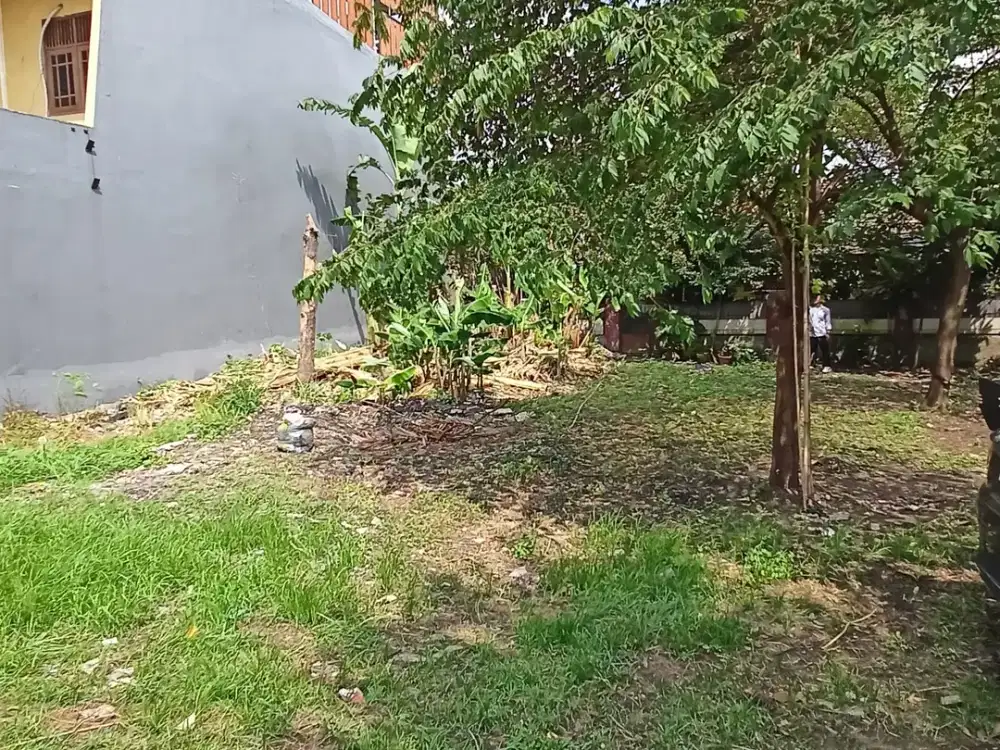 Kaveling Ciomas Bogor Siap Bangun Akses Strategis Free SHM