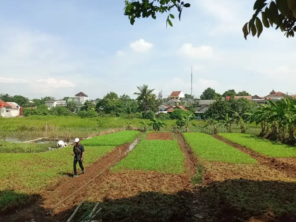 Kaveling 10 menit Stasiun Cilebut Free SHM Cicil Tanpa Bunga