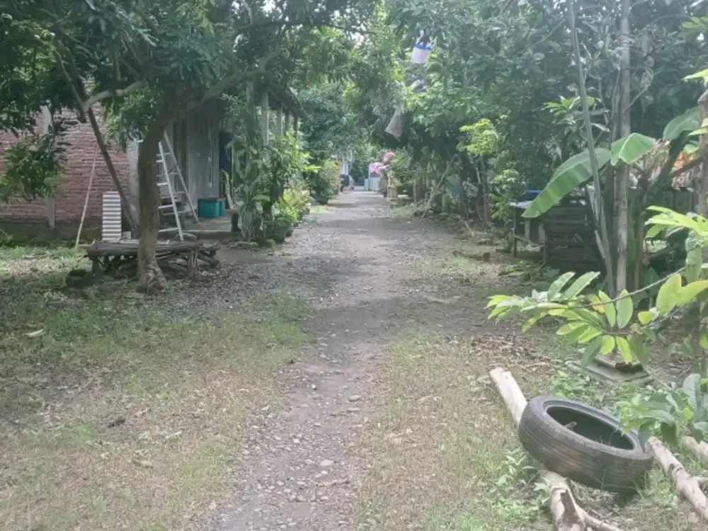 Tanah sukoharjo  murah 95m² muka 9m, Barat Pemda Skh kota, Jombor  :