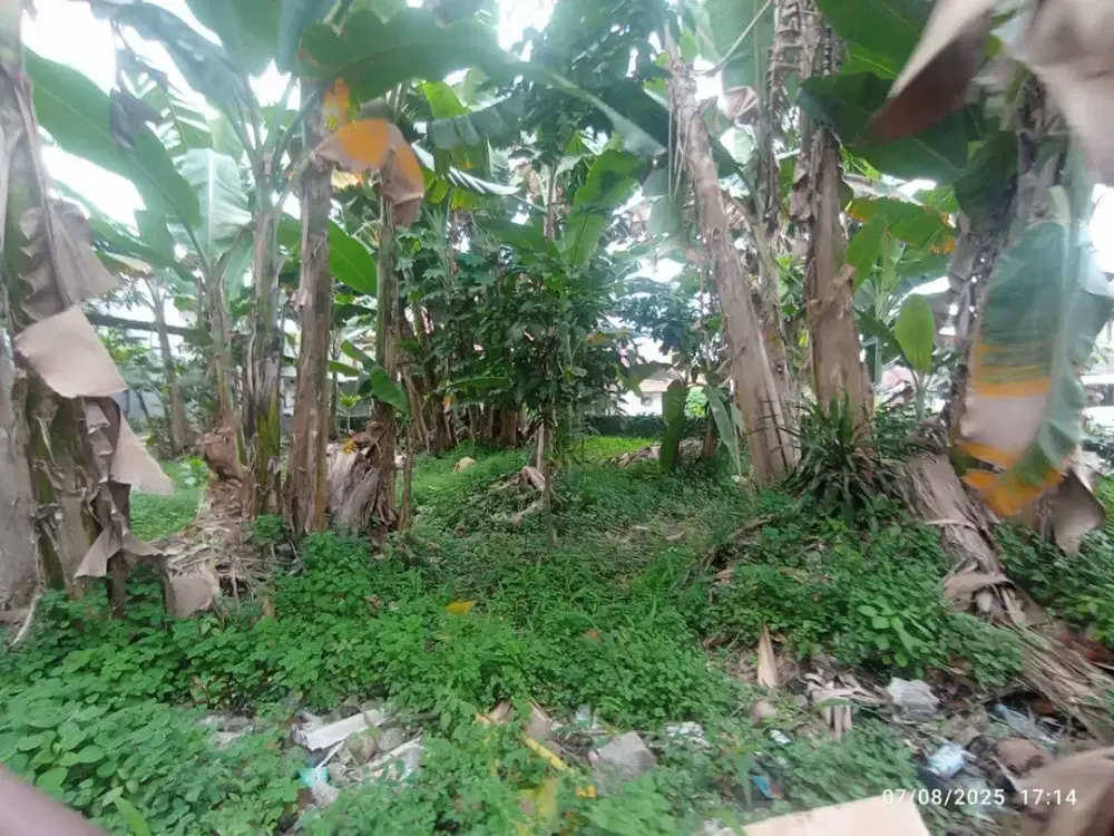 Kaveling 5 Menit Stasiun Bogor Free SHM Cicil Tanpa Bunga