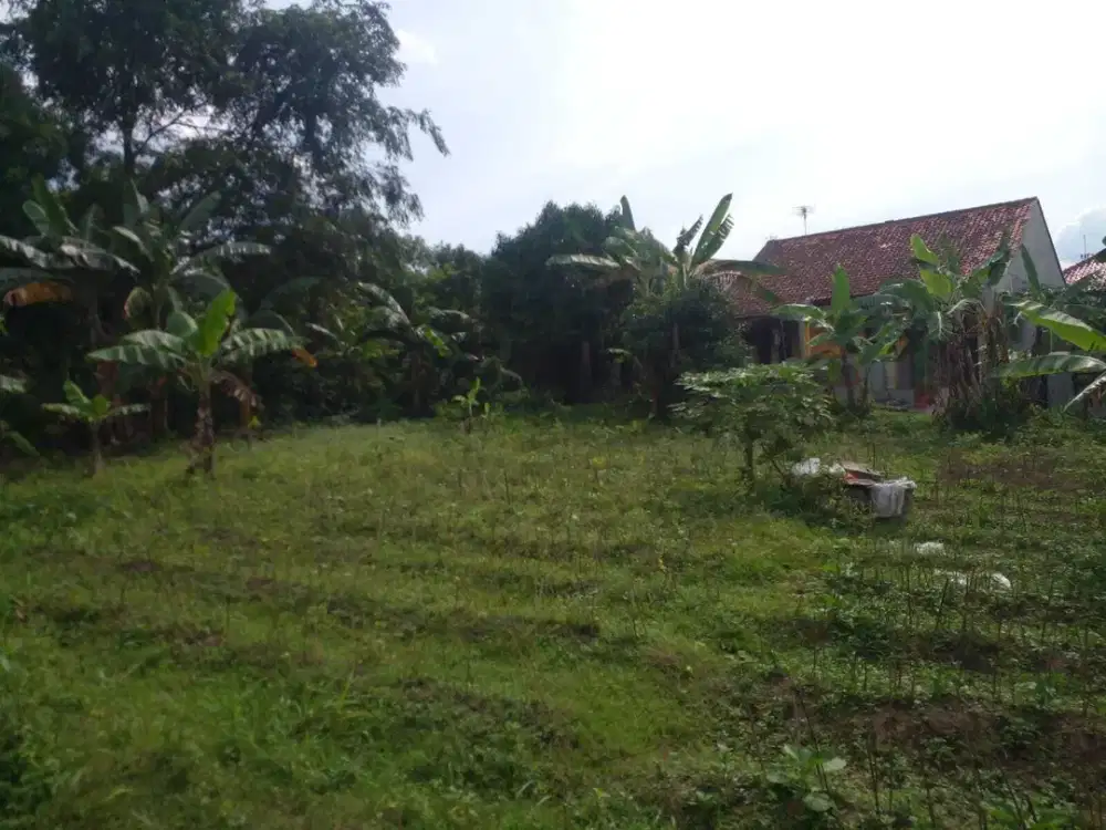 Kaveling 9 Menit ke Terminal Laladon Free SHM Cicil Tanpa Bunga