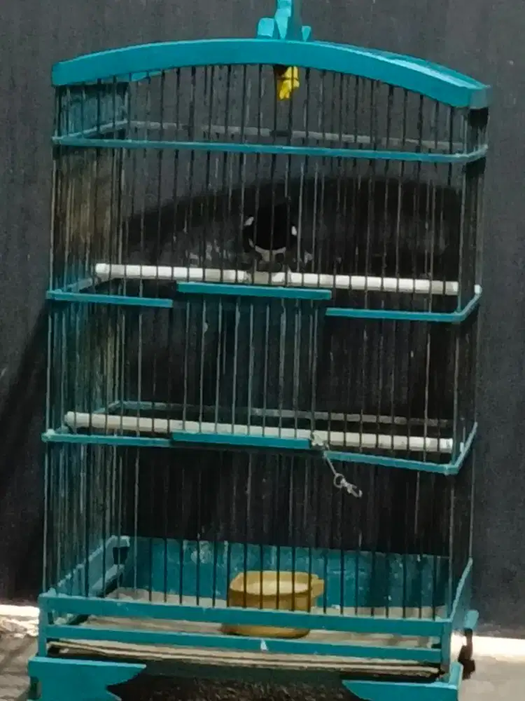 jual borongan kandan kotak 2 & 1 kandang lovebird