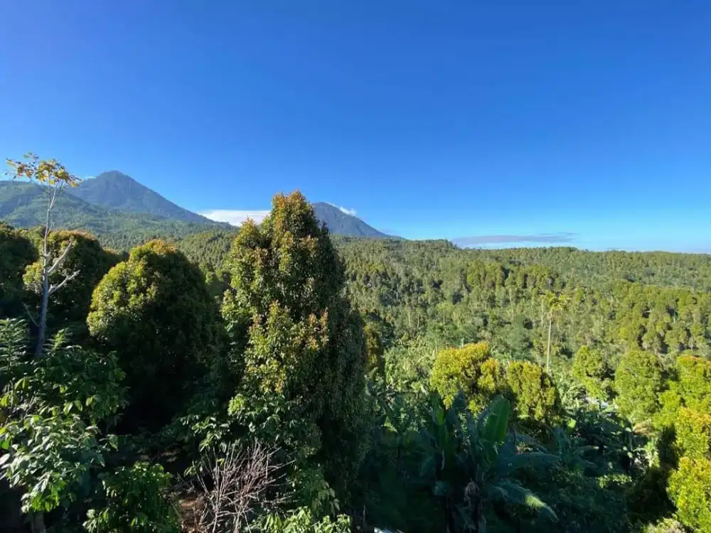 LAHAN LANGKA UNTUK HOTEL/VILLA – VIEW 360° DI MUNDUK, BALI UTARA