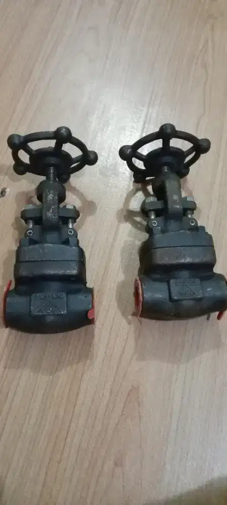 Globe Valve 0.5