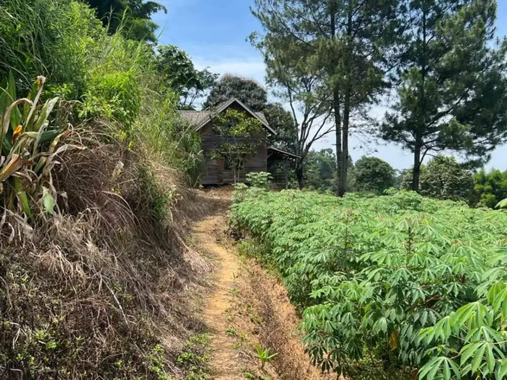 Tanah Luas di Gunung Geulis, Bogor