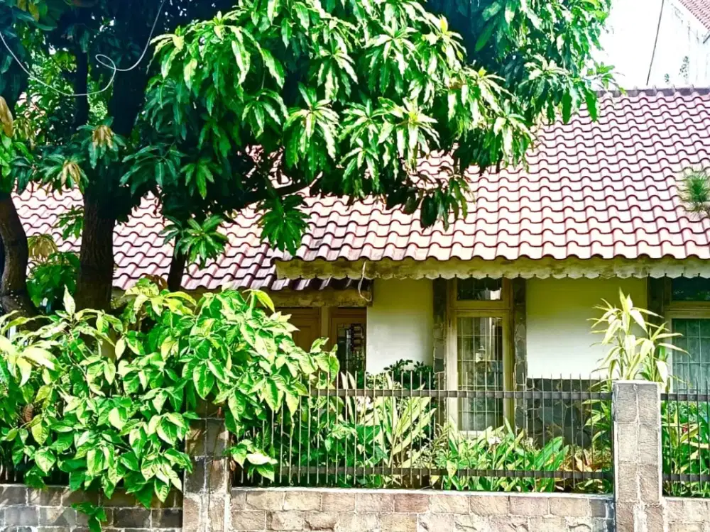 Rumah Bagus Murah Di Cipete Selatan Jakarta Selatan