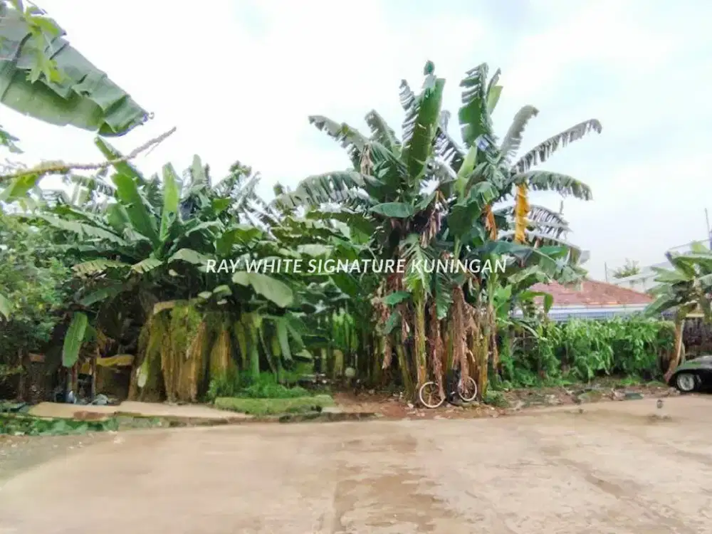 Tanah Kavling Cocok Untuk Hunian di Jl Gajah Mungkur Duren Tiga