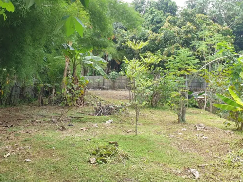 Tanah Di Lokasi Strategis Dekat Puspitek Serpong Cocok Untuk Hunian atau Usaha