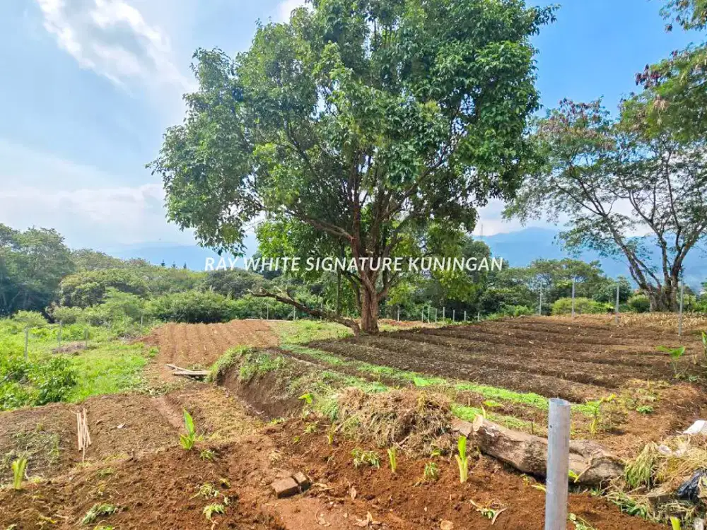 Tanah Kavling 874 meter Cocok Untuk Usaha atau Villa