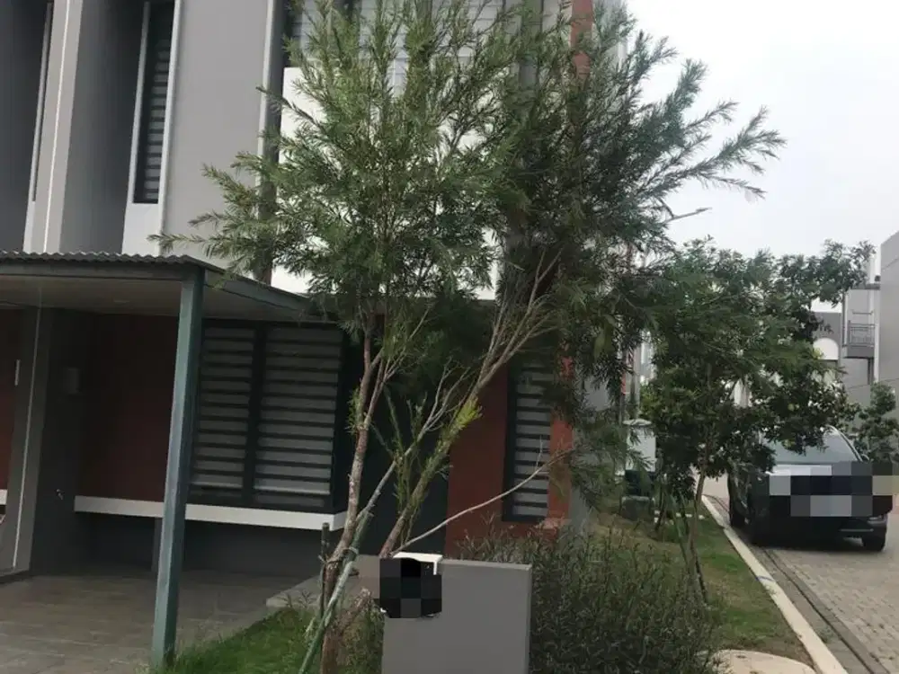 Dijual Cepat Rumah Cluster Freja  Suite Hook BSD