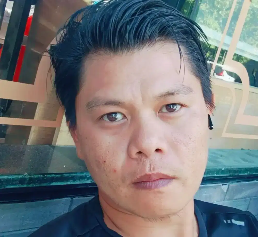 Driver pribadi, asisten pribadi