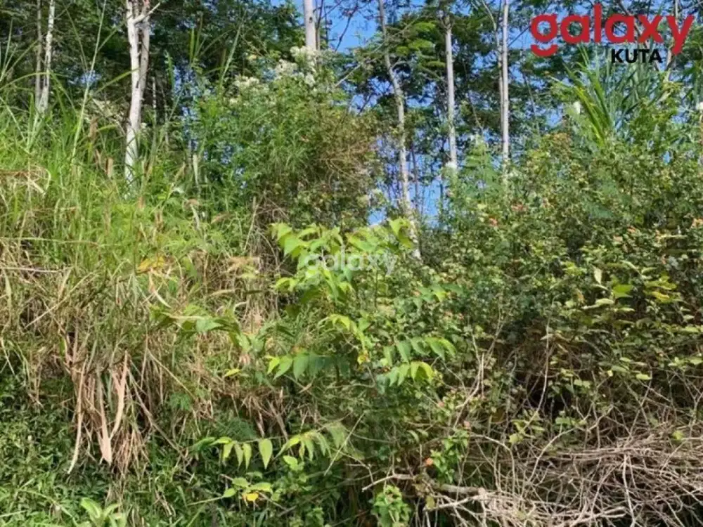 DIJUAL TANAH RAYA BEDUGUL PANCASARI SUKASADA BULELENG, BALI