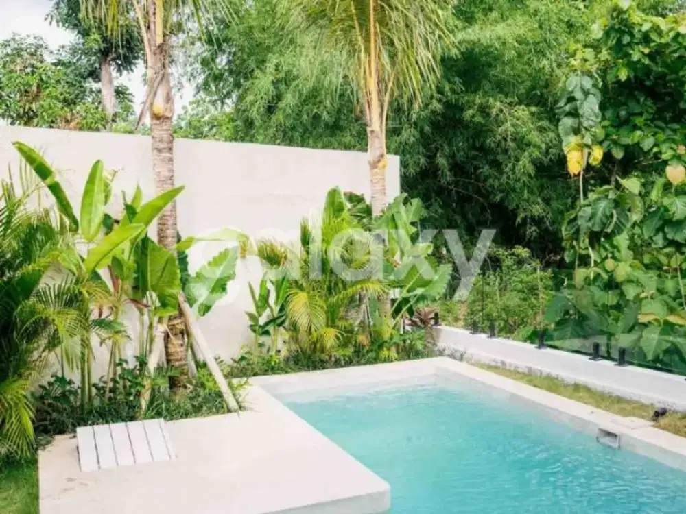 VILLA BARU LOFTBUNG DI PANTAI BALANGAN UNGASAN BADUNG, BALI